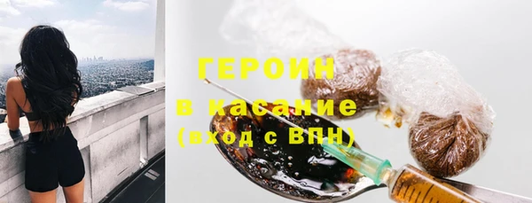 сатива Беломорск