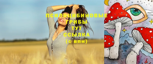 сатива Беломорск